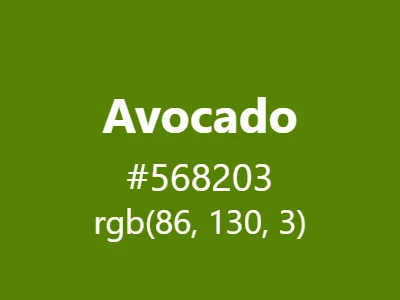 Visual example of avocado color with its rich, organic appearance