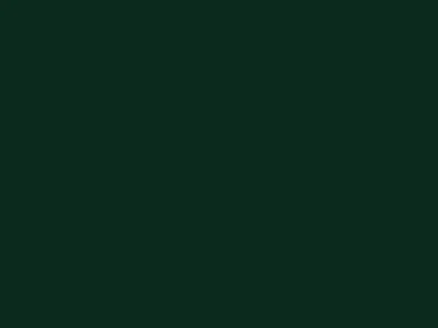 Visual example of black forest color with its deep, mysterious green-black appearance