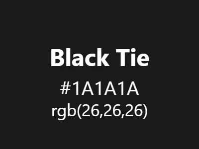 Visual example of black tie color with its formal, sophisticated black appearance