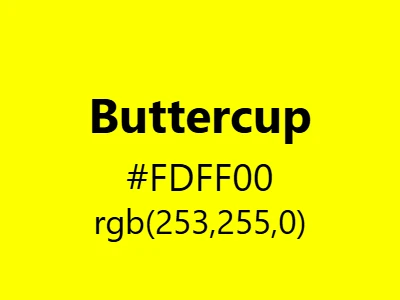 Visual example of buttercup color with its vibrant, cheerful appearance