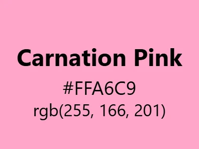 Visual example of carnation pink color with its soft, floral appearance