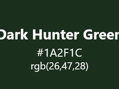 Visual example of dark hunter green color with its mysterious, profound appearance