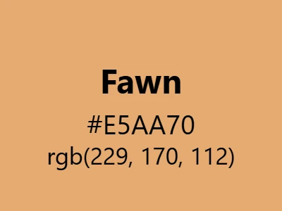 Visual example of fawn color with its soft, golden-brown appearance