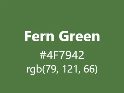 Visual example of fern green color with its natural, organic appearance