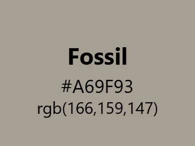 Visual example of fossil color with its ancient, earthy stone grey appearance