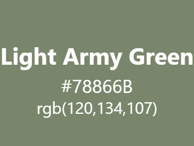 Visual example of light army green color with its muted, versatile appearance