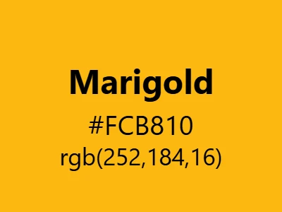 Visual example of marigold color with its vibrant, golden-orange appearance