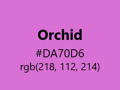 Visual example of orchid color with its exotic, elegant appearance