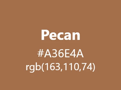 Visual example of pecan color with its warm, nutty appearance