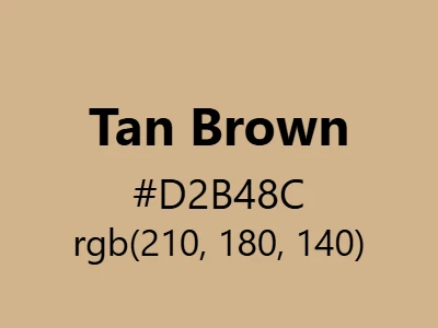 Visual example of tan brown color with its warm, sandy appearance