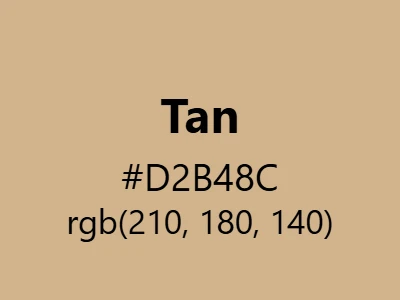 Visual example of tan color with its warm, neutral appearance